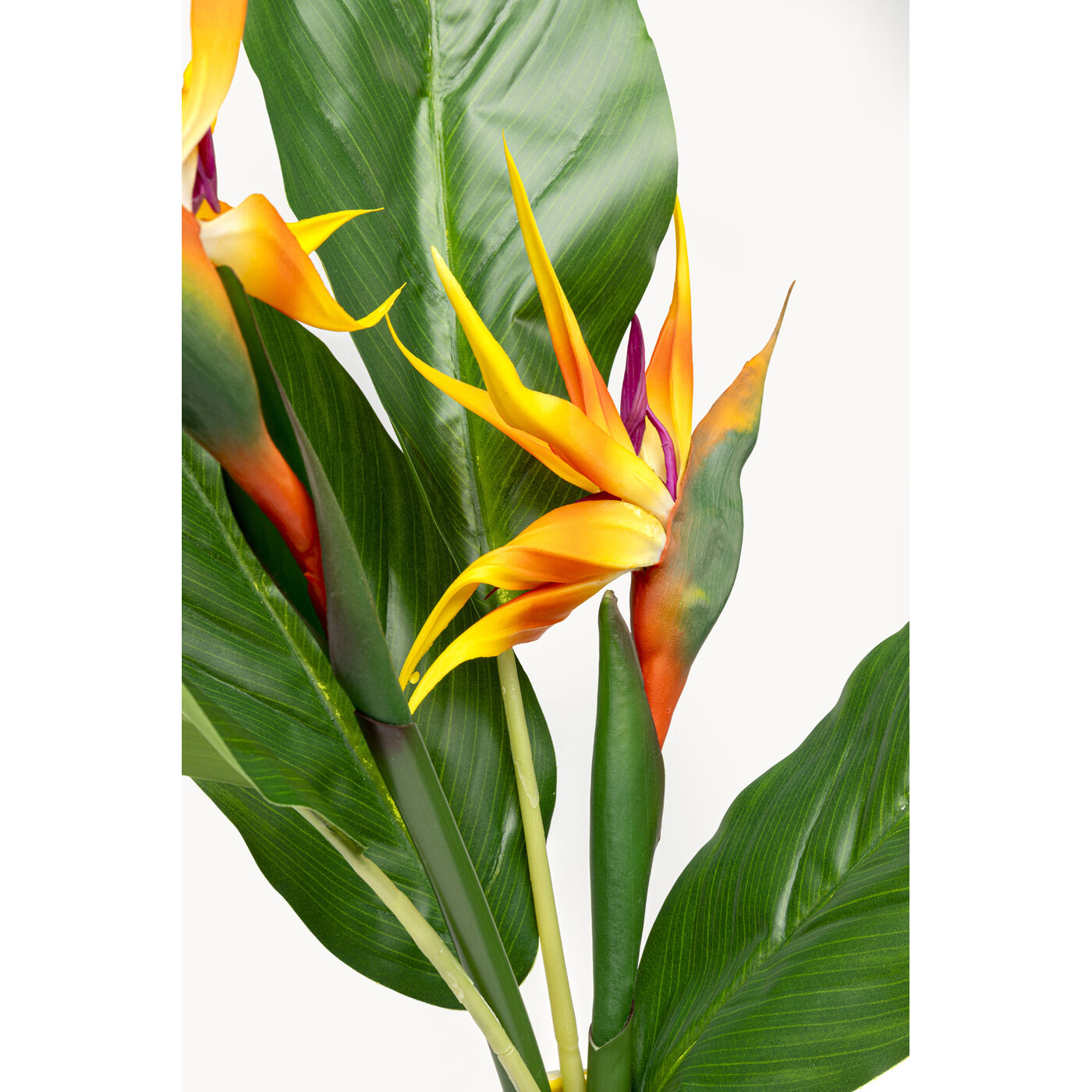 Растение декоративное Paradise Bird 70cm KARE 58346