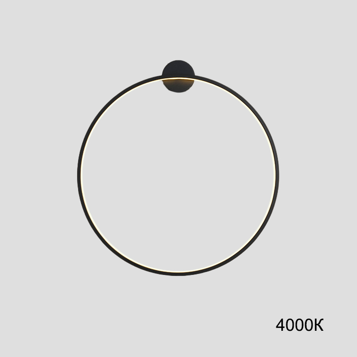 Настенный светильник GUARD B D50 4000К by ImperiumLoft