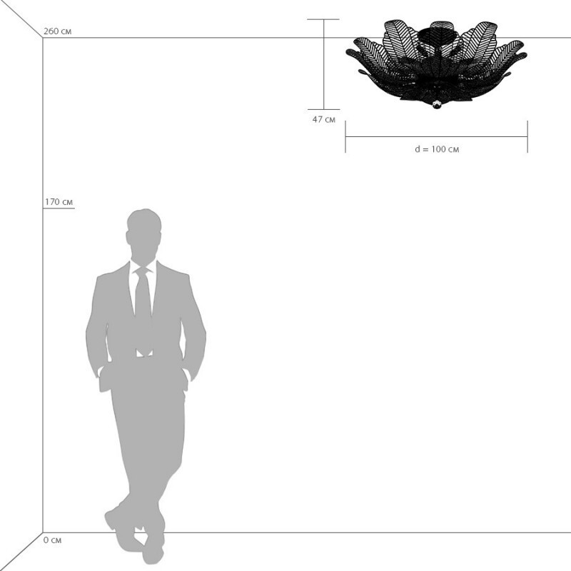 Накладная люстра Lightstar 705184