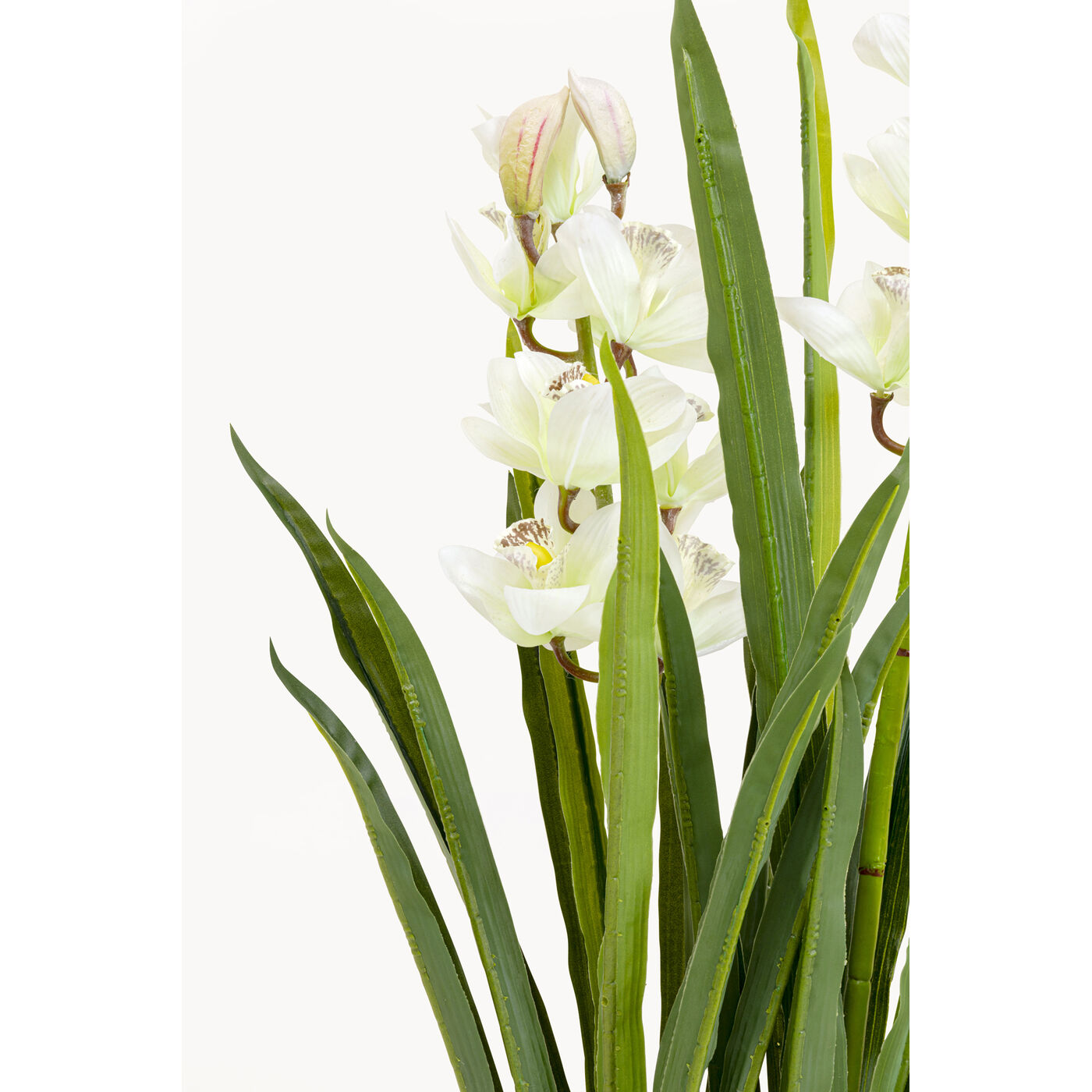 Растение декоративное Orchid 100m KARE 58434