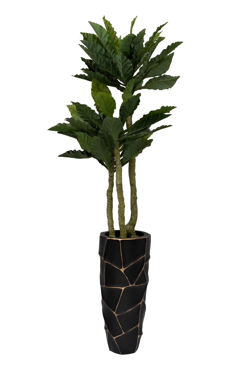 Папоротник гнездовой в горшке Garda Decor 29BJ-934