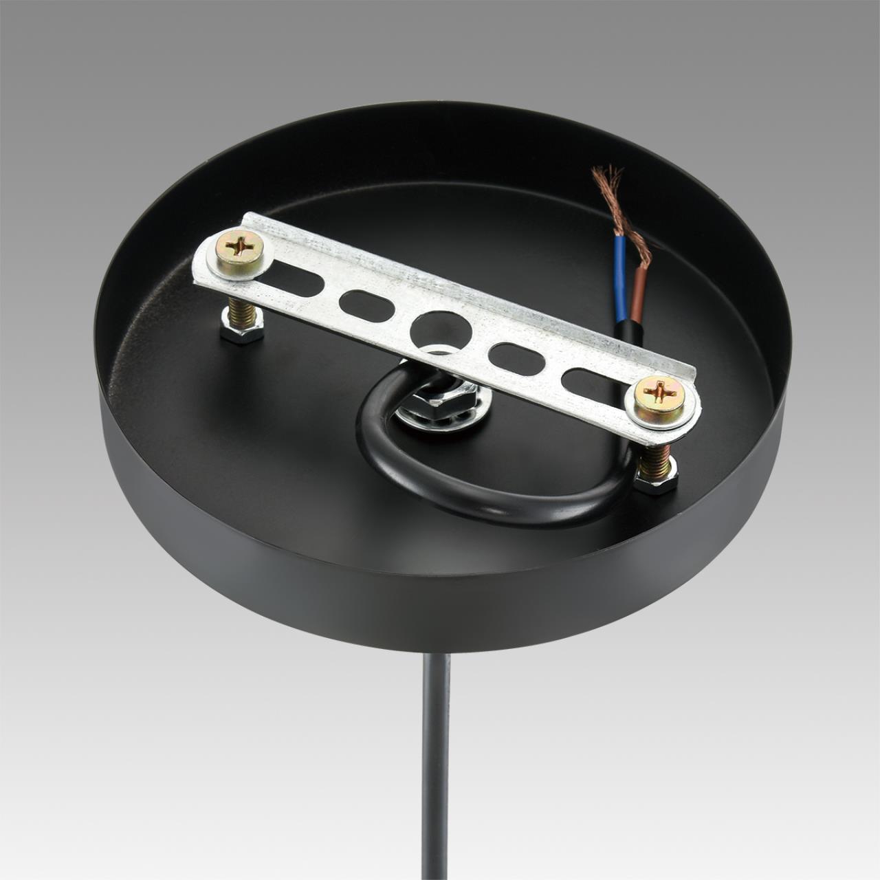 Светильник подвесной Lumion 8052/1A