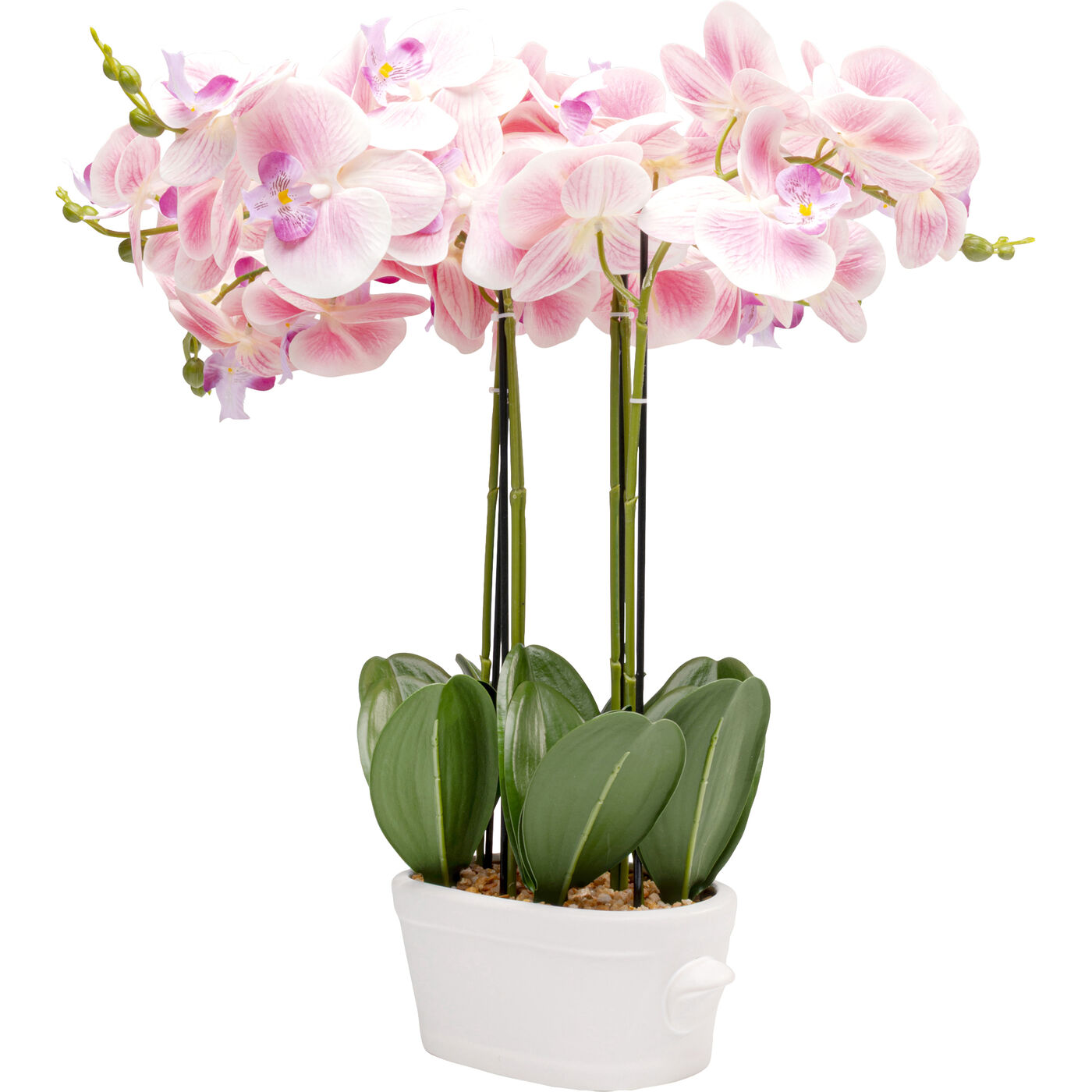 Растение декоративное Orchid Pod 55cm KARE 58350