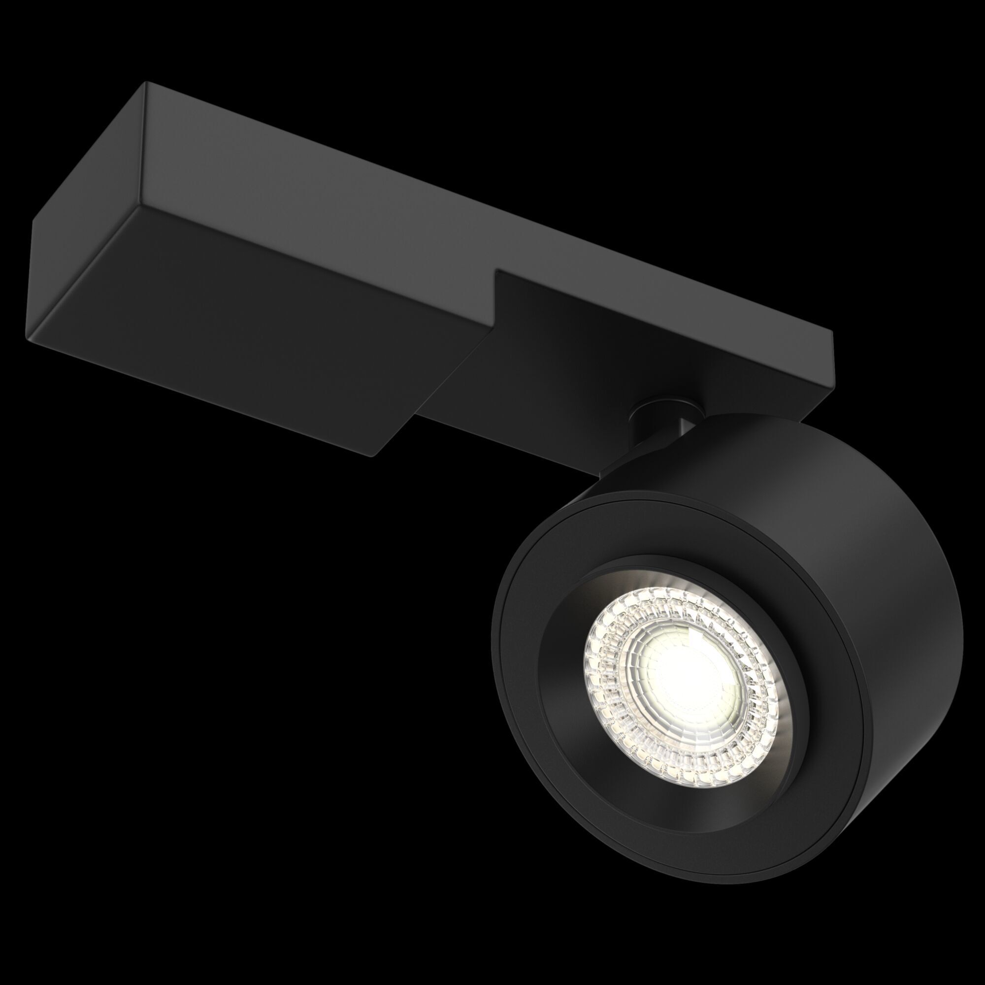 Потолочный светильник Maytoni C062CL-L12B3K