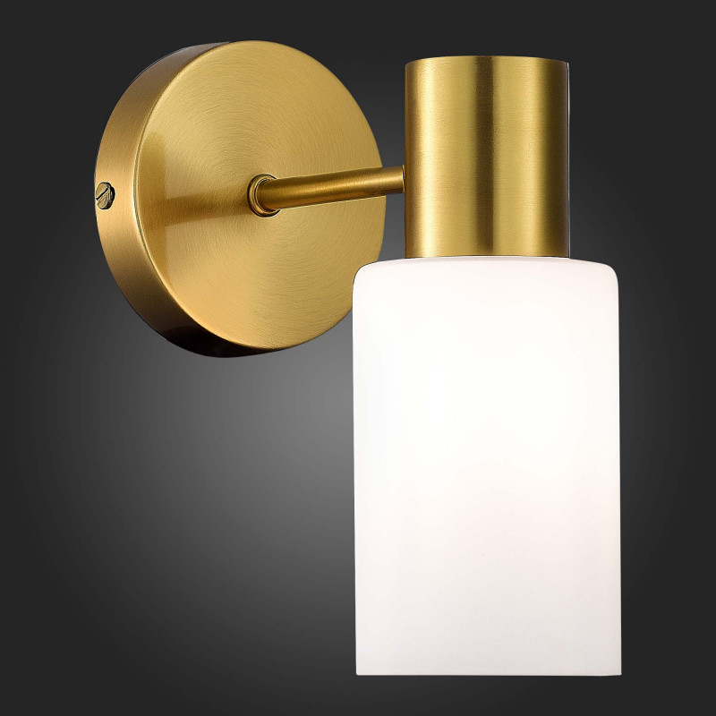 Бра Evoluce SLE1139-301-01