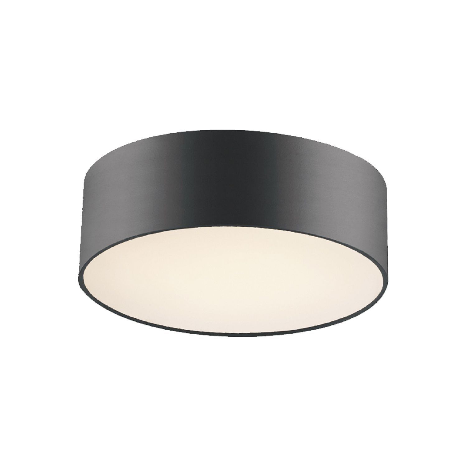 Потолочный светильник Favourite 1514-2C