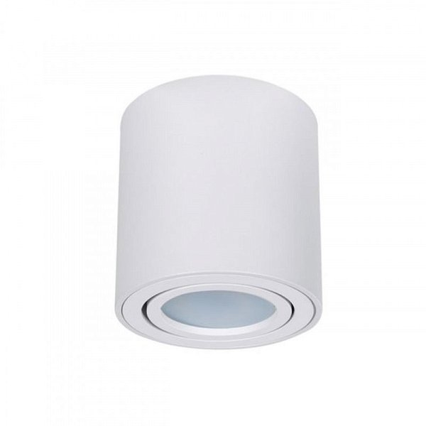Накладной светильник ARTE Lamp A1513PL-1WH