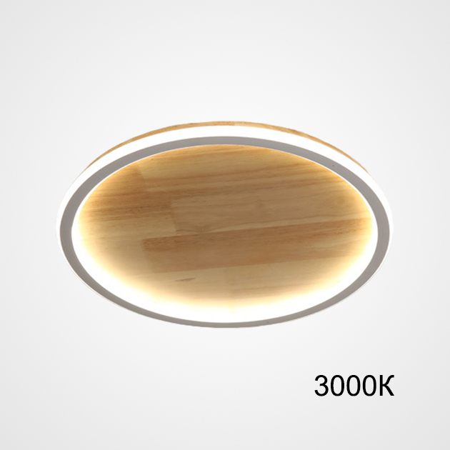 Потолочный светильник DOLAN D40 3000К by ImperiumLoft