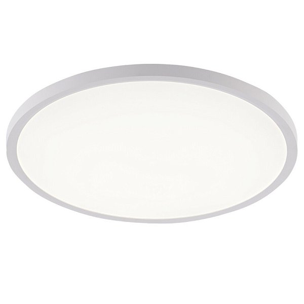 Накладной светильник Natali Kovaltseva LED LAMPS 81113/5C