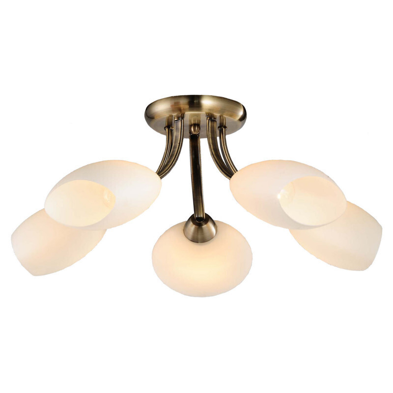 Накладная люстра Lussole LGO LSP-0189