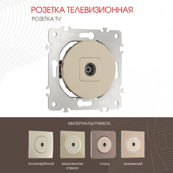 Розетка Arte Milano 202.43-1.shampan