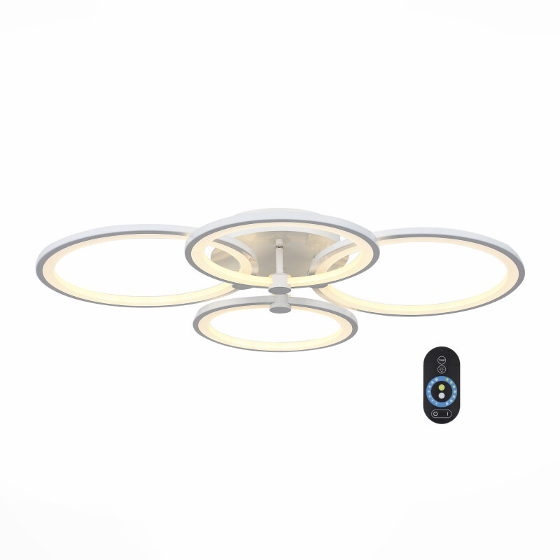 Накладной светильник ST Luce SL867.502.04