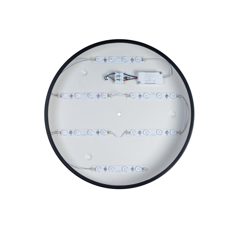 Накладной светильник LOFT IT 10002/24 Black