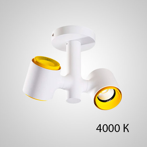 Точечный светильник RESTON PLANK L2 3000 К by ImperiumLoft