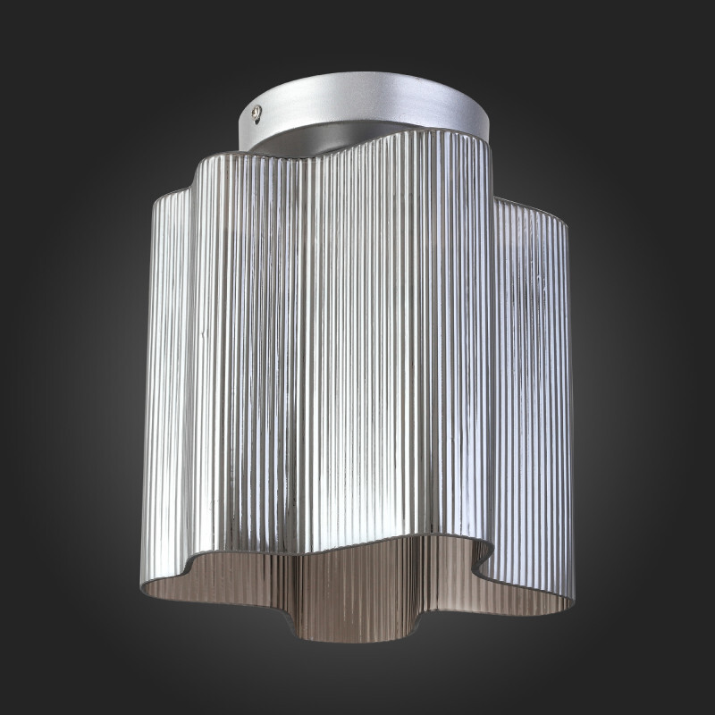 Накладной светильник ST Luce SL117.702.01