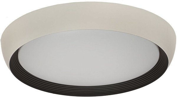 Потолочный светильник Lumina Deco LDC 8062-48W WT