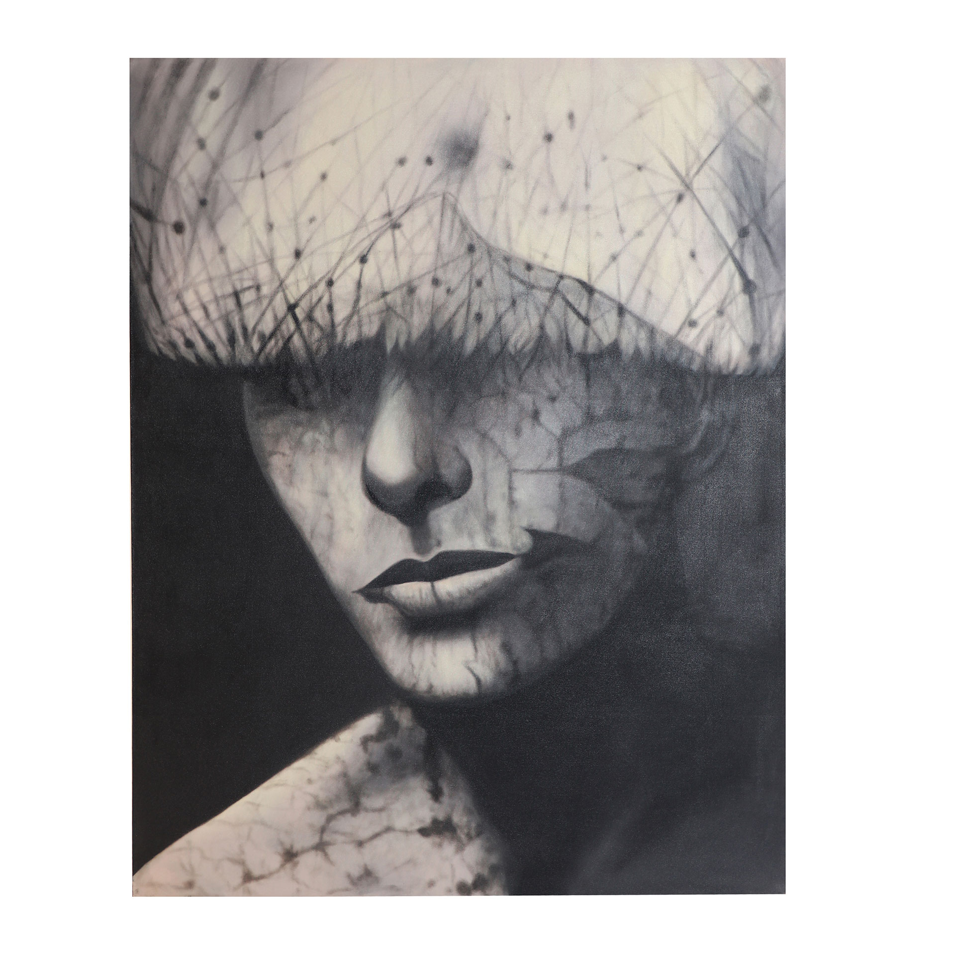 Картина на холсте 32905 Vical