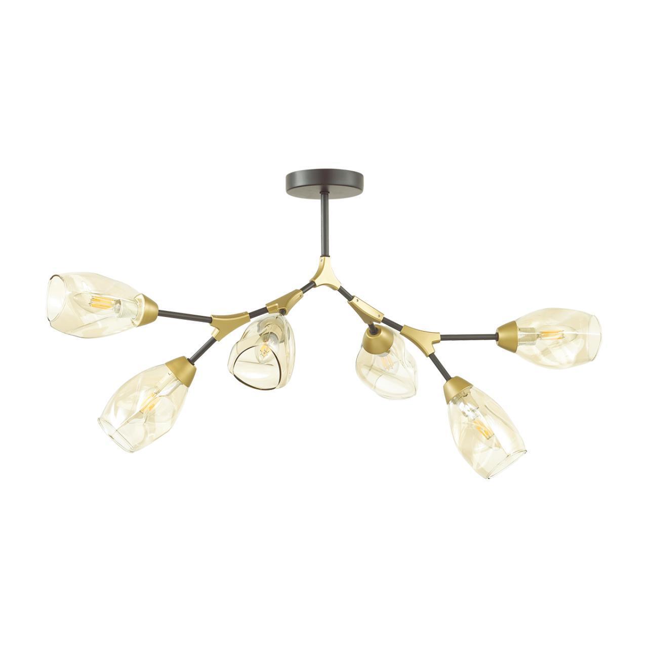 Люстра потолочная Lumion 4563/6C