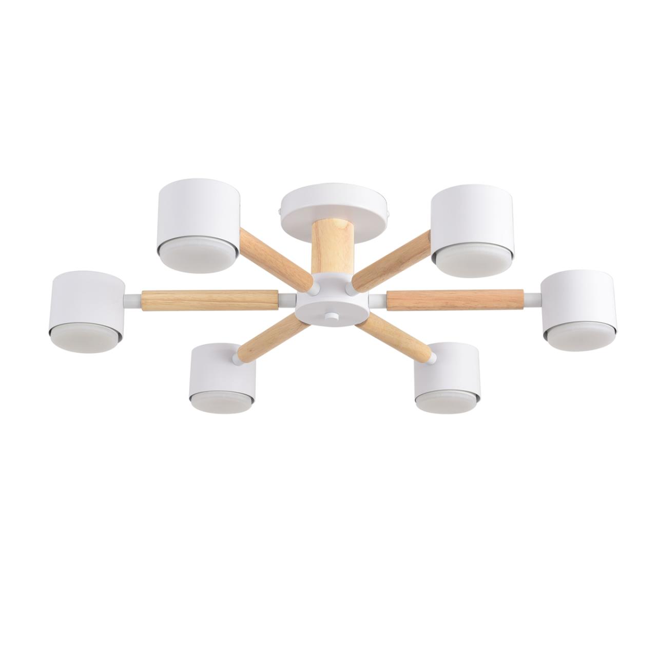 Светильник потолочный Lumion 8306/6C