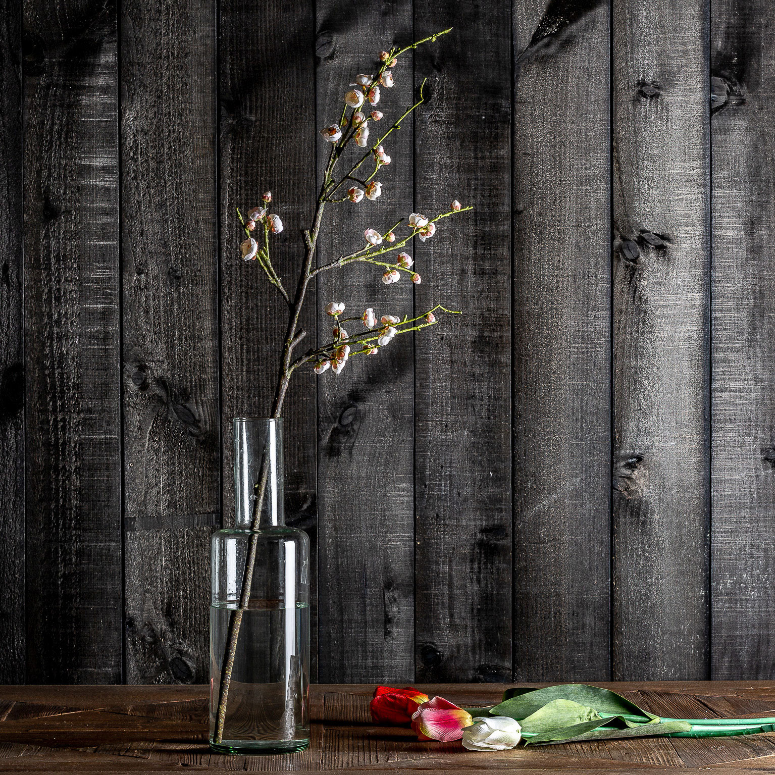 Цветок TULIPAN в оранжевом цвете Vical