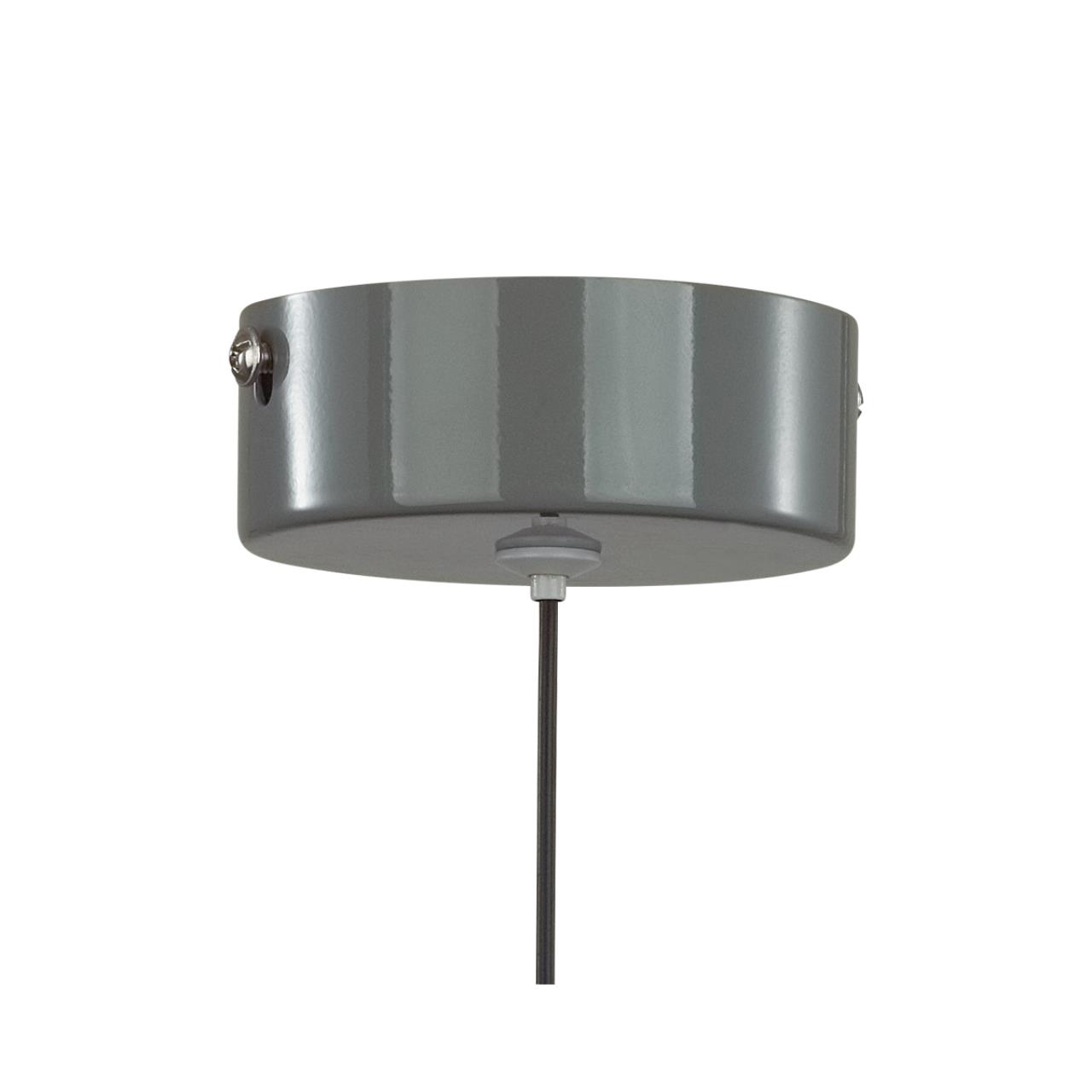 Подвес Lumion 6569/6L