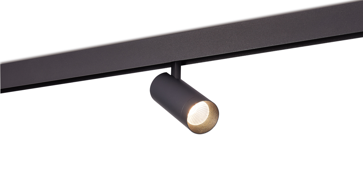 Светодиодный светильник Donolux DL20295NW20B