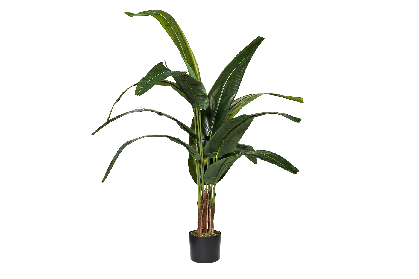 Дерево путешественников в горшке Garda Decor 29BJ-778-12