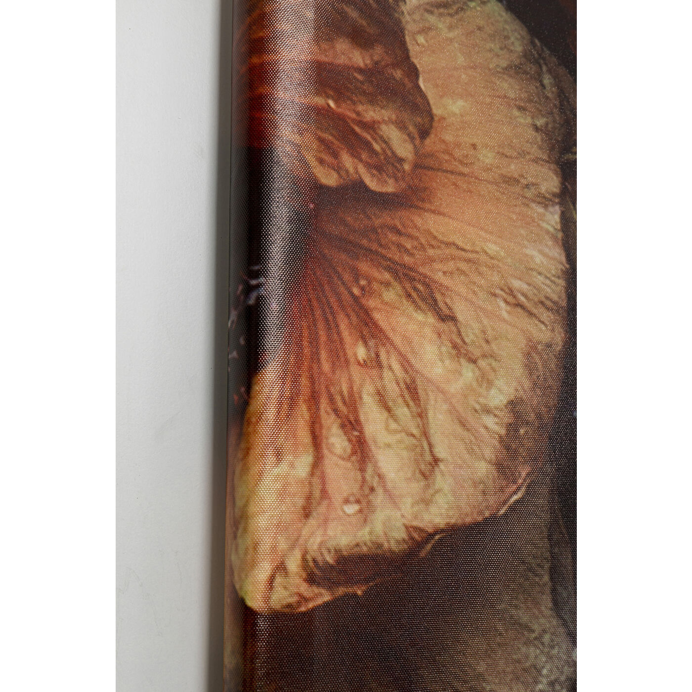 Картина в рамке KARE Lady 55388