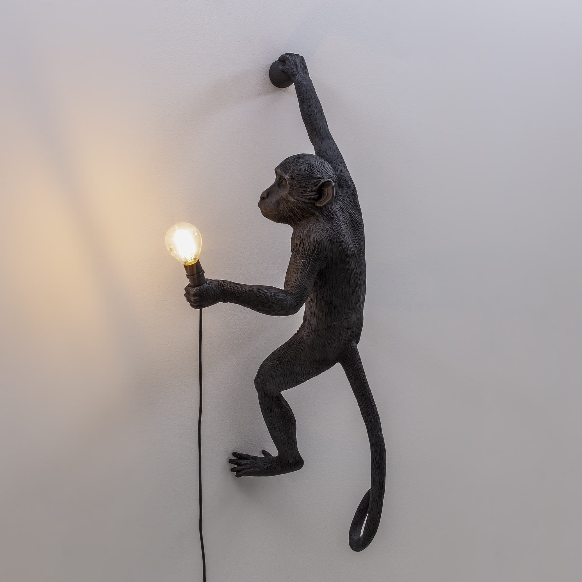 Настенный светильник Seletti Monkey Lamp Hanging Right 14919