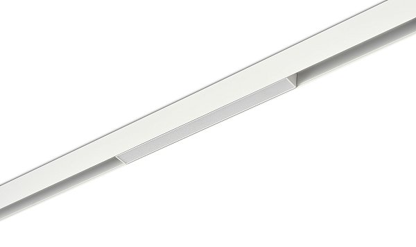 Светодиодный светильник Donolux DL20293NW10WND