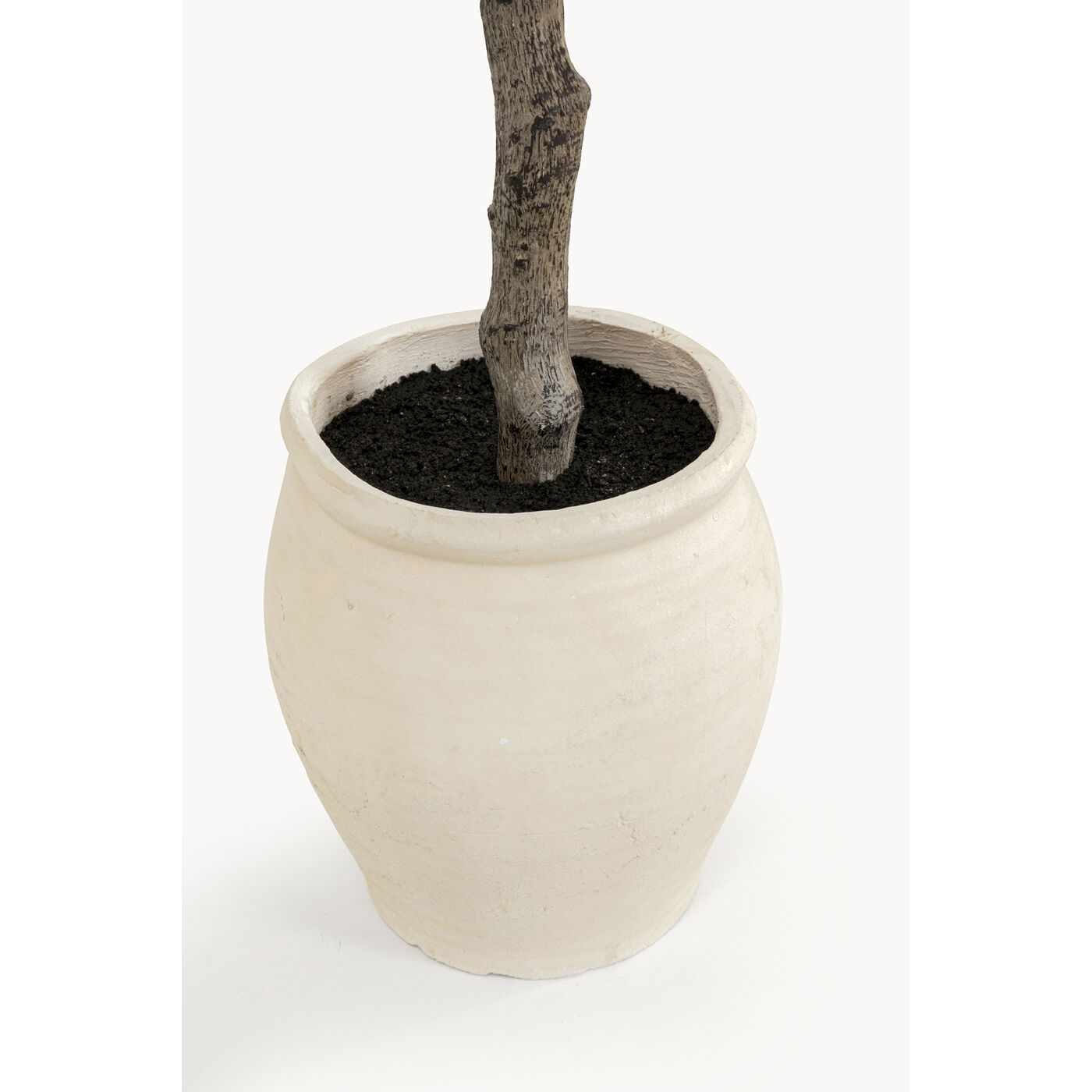 Растение декоративное Lemon Tree 120cm KARE 58352