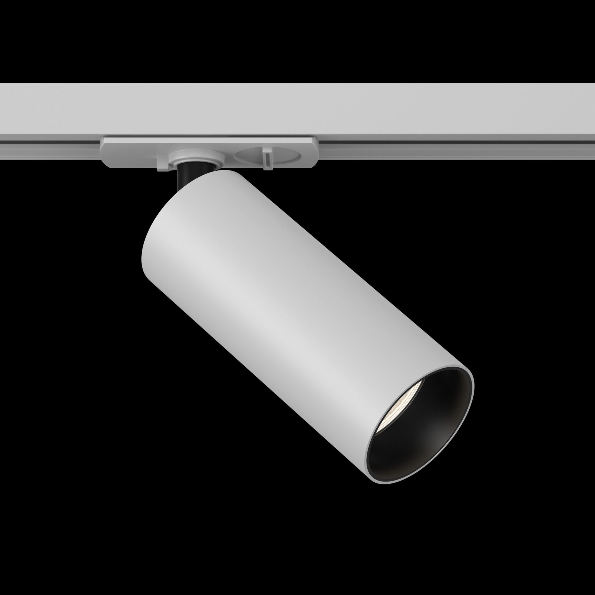 Трековый светильник Maytoni TR021-1-12W3K