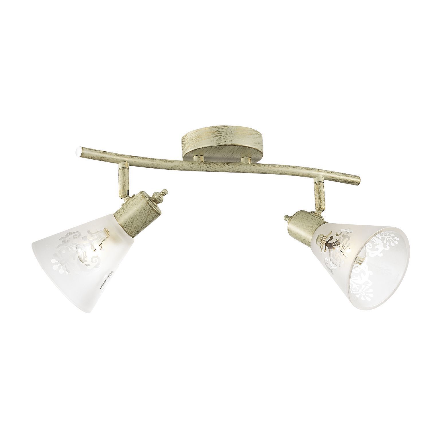 Потолочный светильник Favourite 1794-2U