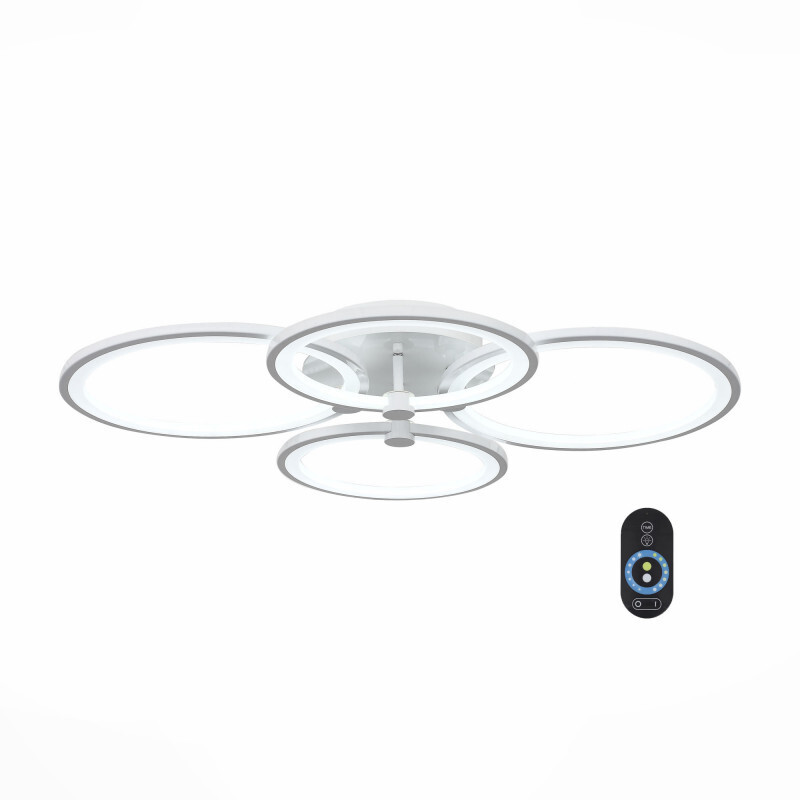 Накладной светильник ST Luce SL867.502.04