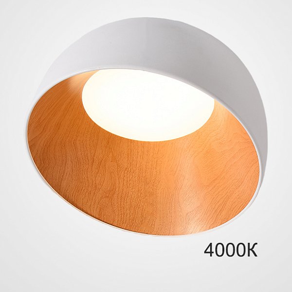 Потолочный светильник NORDA B White 4000К by ImperiumLoft