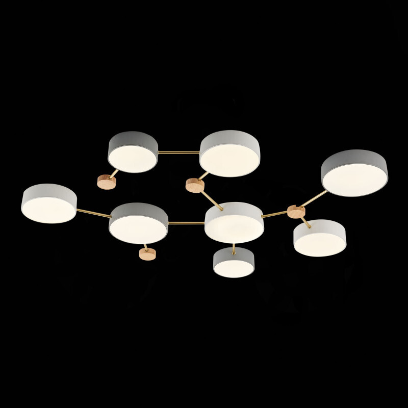 Накладной светильник Evoluce SLE600102-08