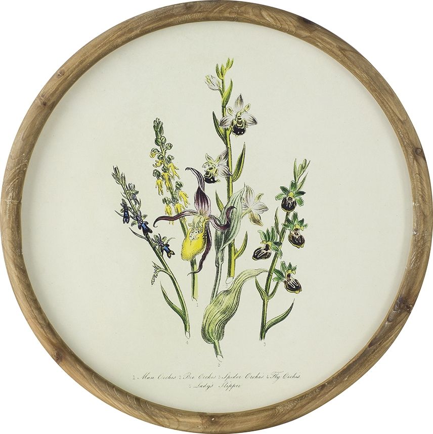 Панно Флора, Glasar SA80053-DS