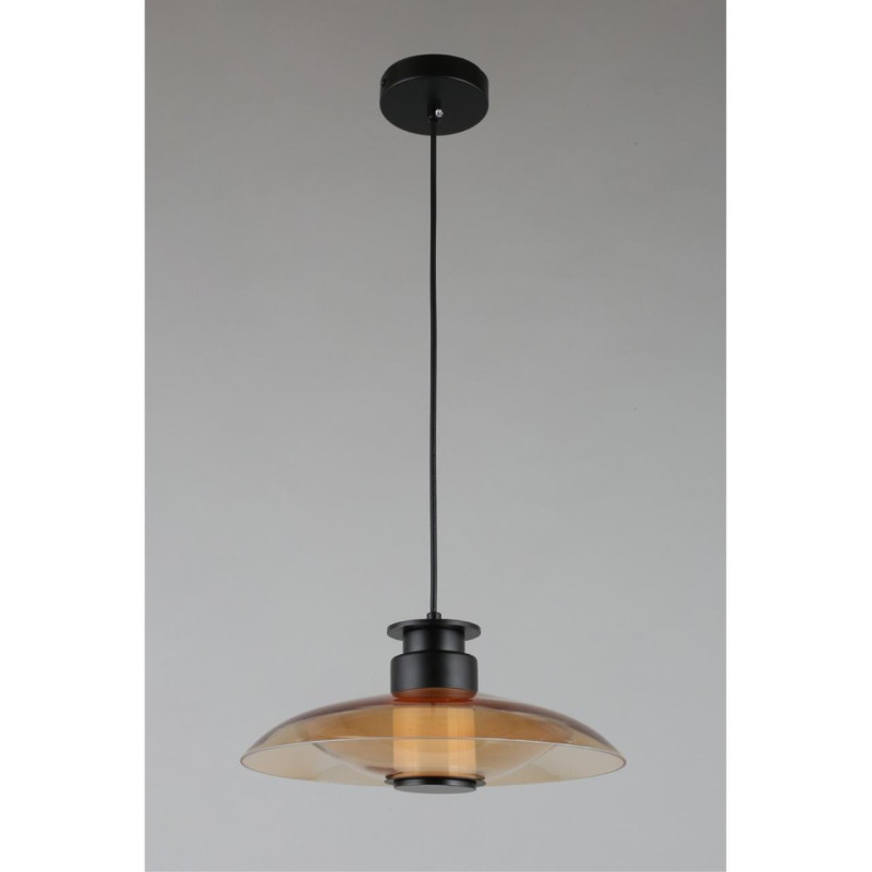 Подвесной светильник APLOYT APL.648.16.10