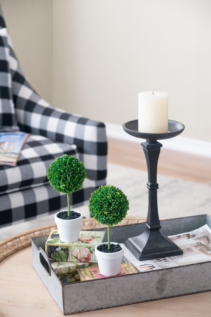 Растения декоративные Самшит, набор Glasar 29283