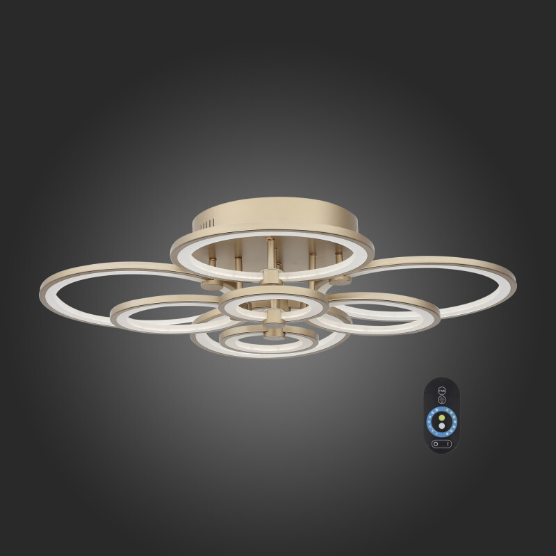 Накладной светильник ST Luce SL867.202.08