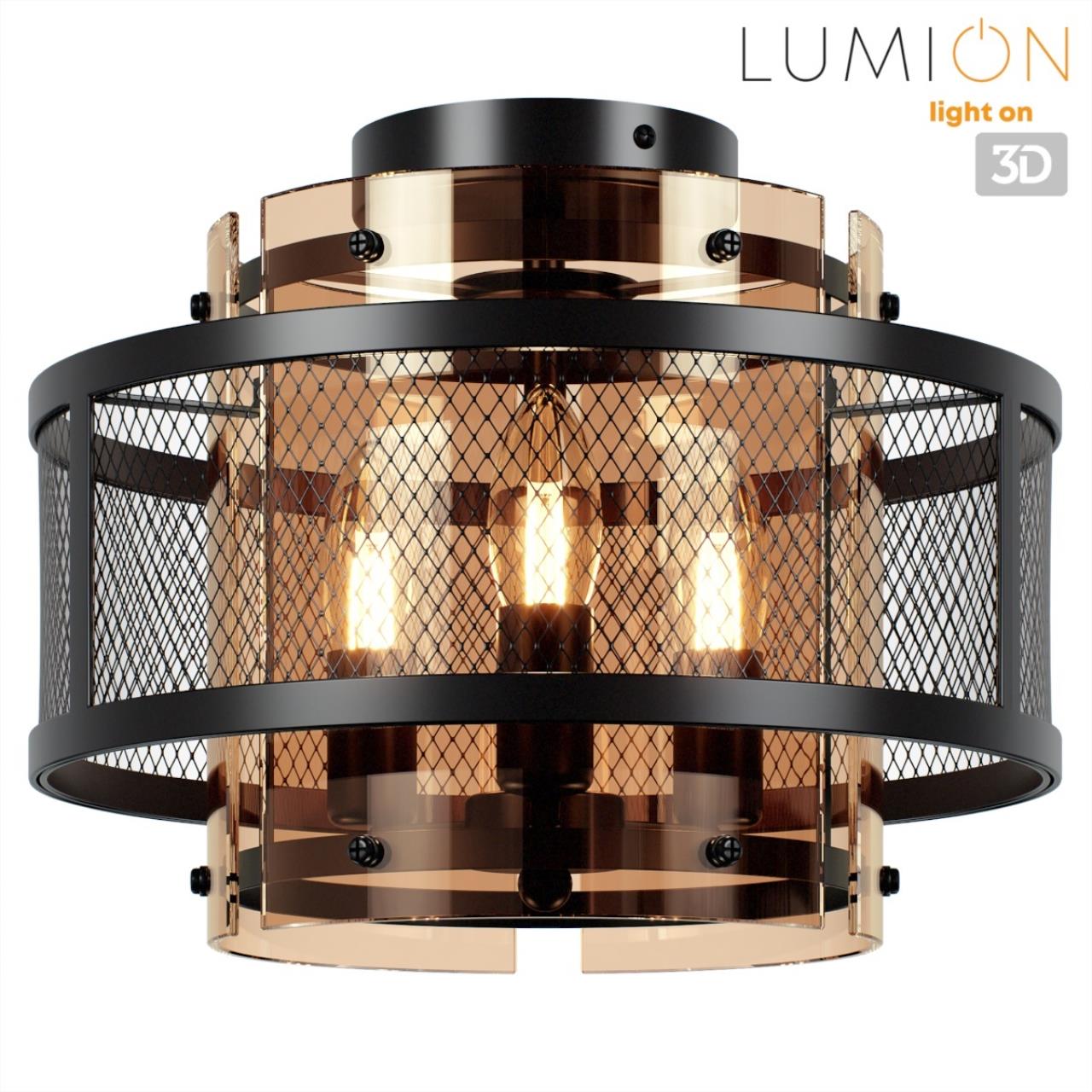 Потолочный светильник Lumion 8007/3C