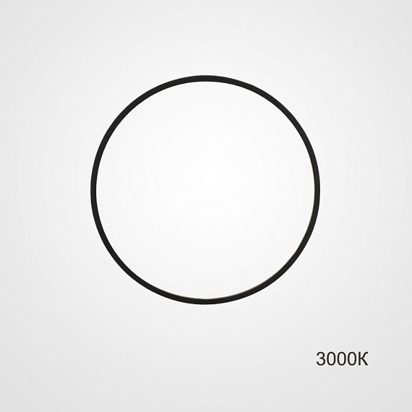 Настенный светильник GUARD D30 3000К by ImperiumLoft