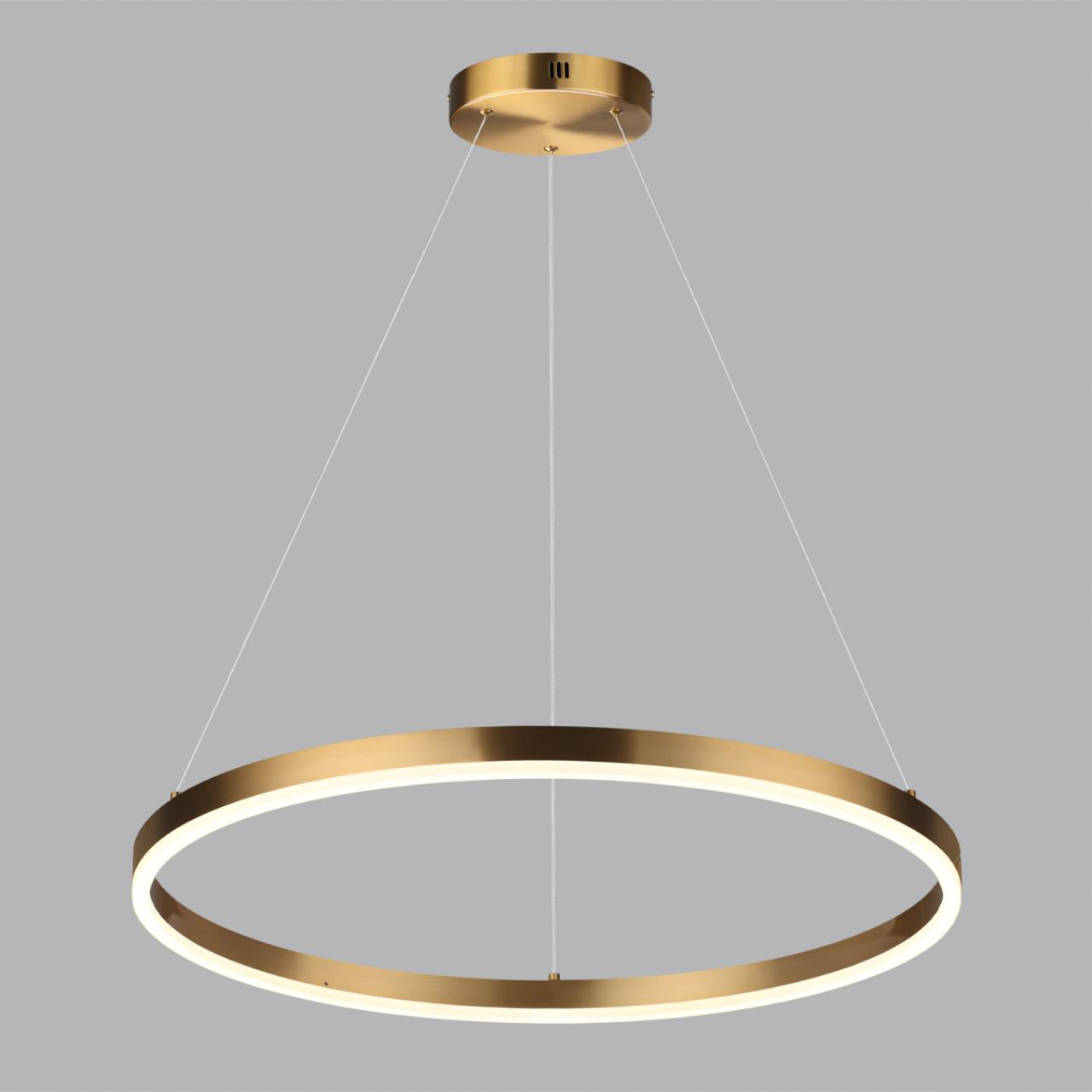 Светильник подвесной Lumion 6531/50L