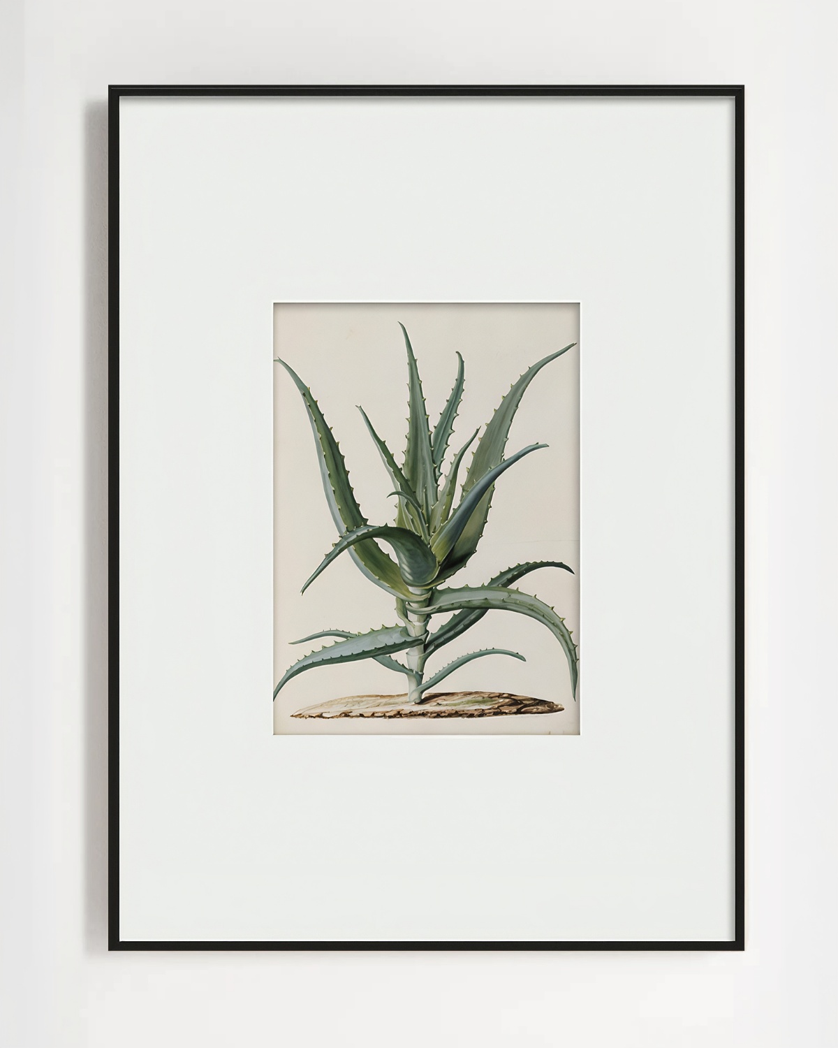 Интерьерный постер Аloe Louvre Home PP230176