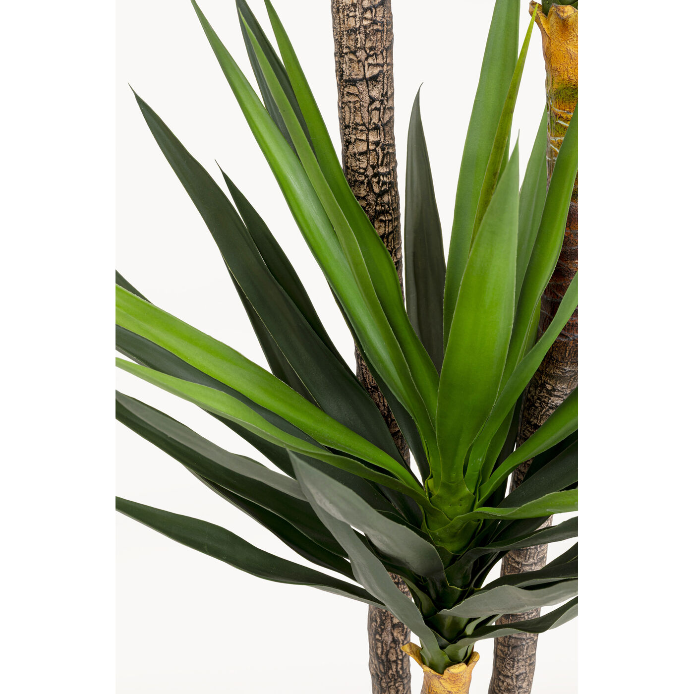 Растение декоративное Yukka 250m KARE 58435