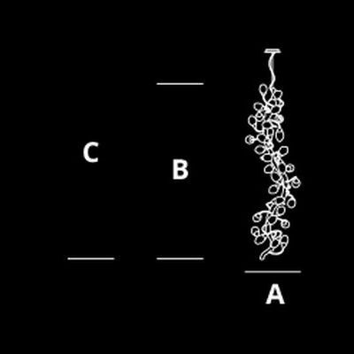 Люстра Serip Lotus CT3372/33