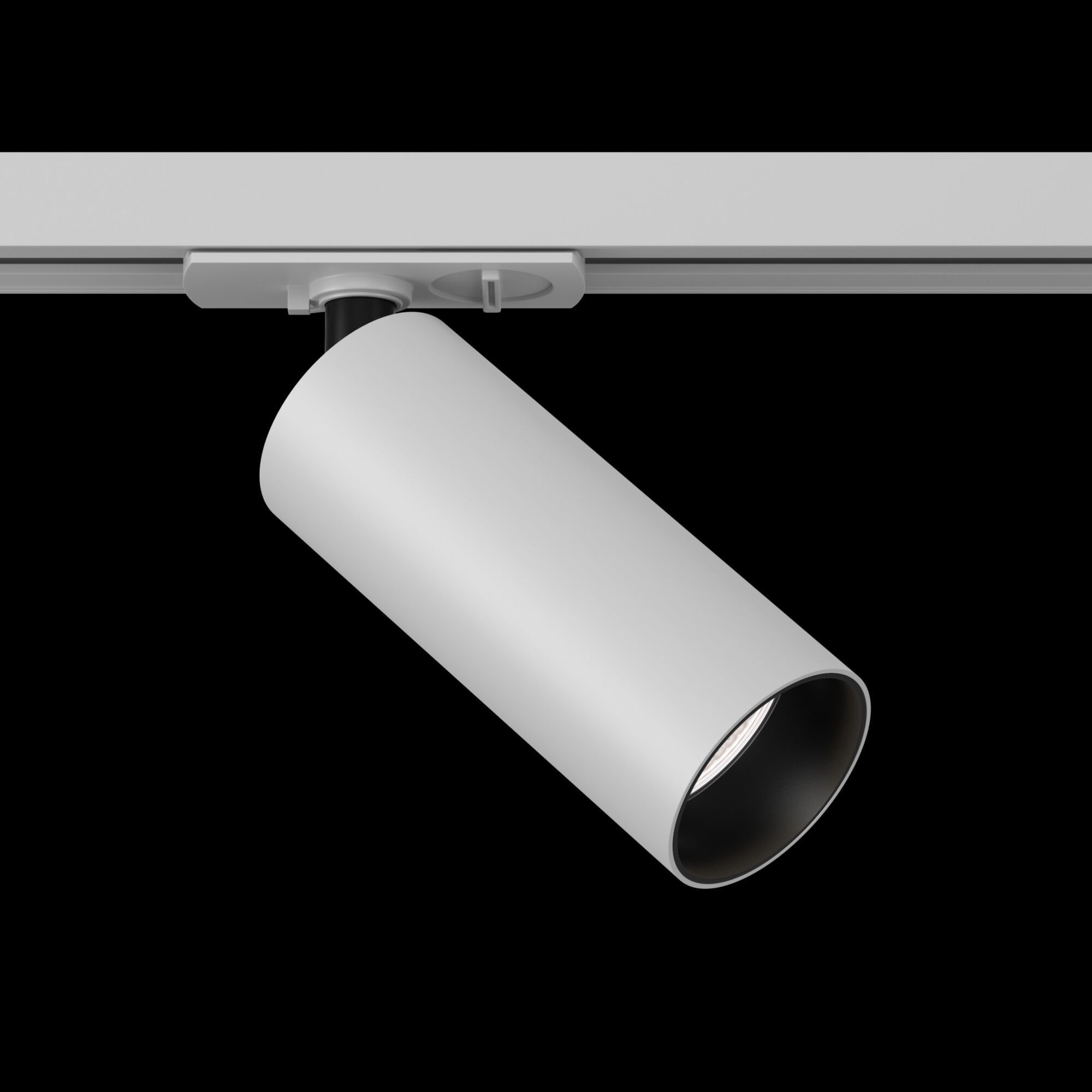 Трековый светильник Maytoni TR021-1-12W4K
