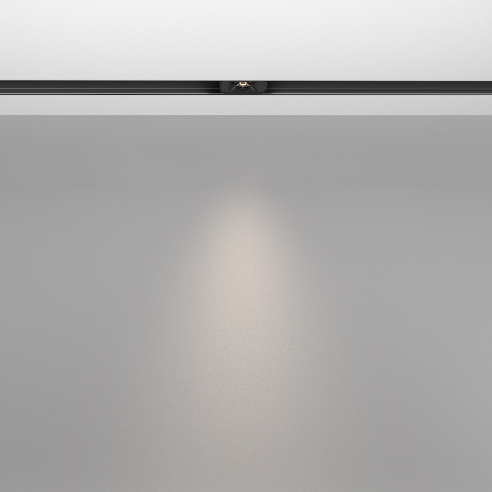 Трековый светильник Technical TR100-2-2W4K-S-B