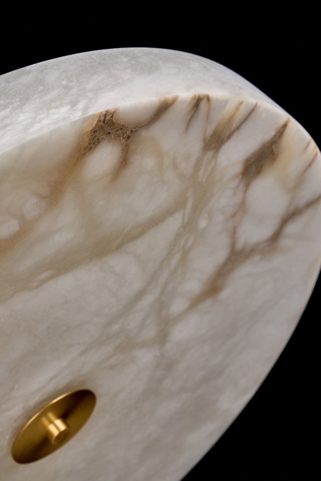 Люстра потолочная Fluorite FL1110-5C