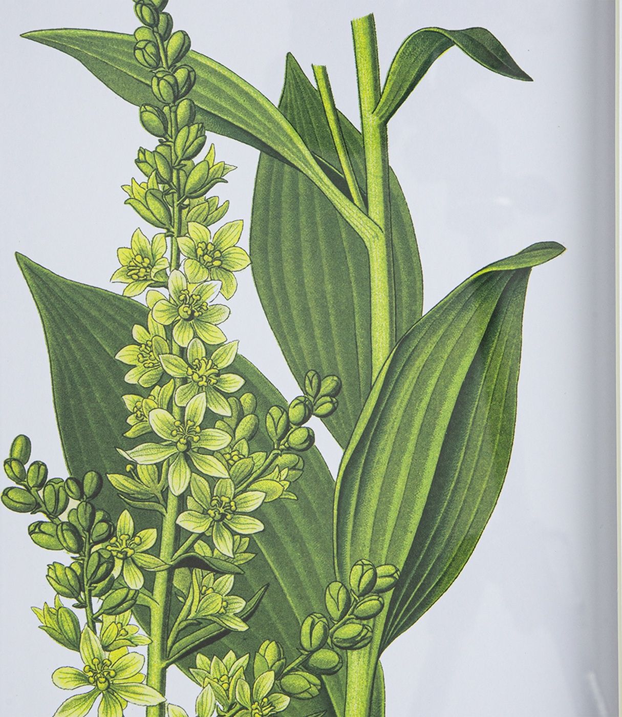 Панно Цветы, набор Glasar AV44590